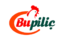 ui_logo1